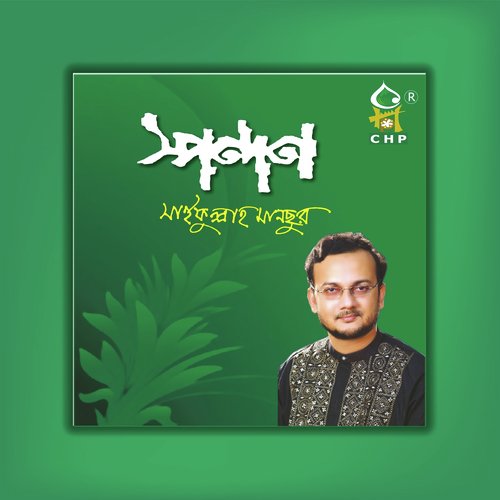 Saifullah Mansur Songs MP3 Download